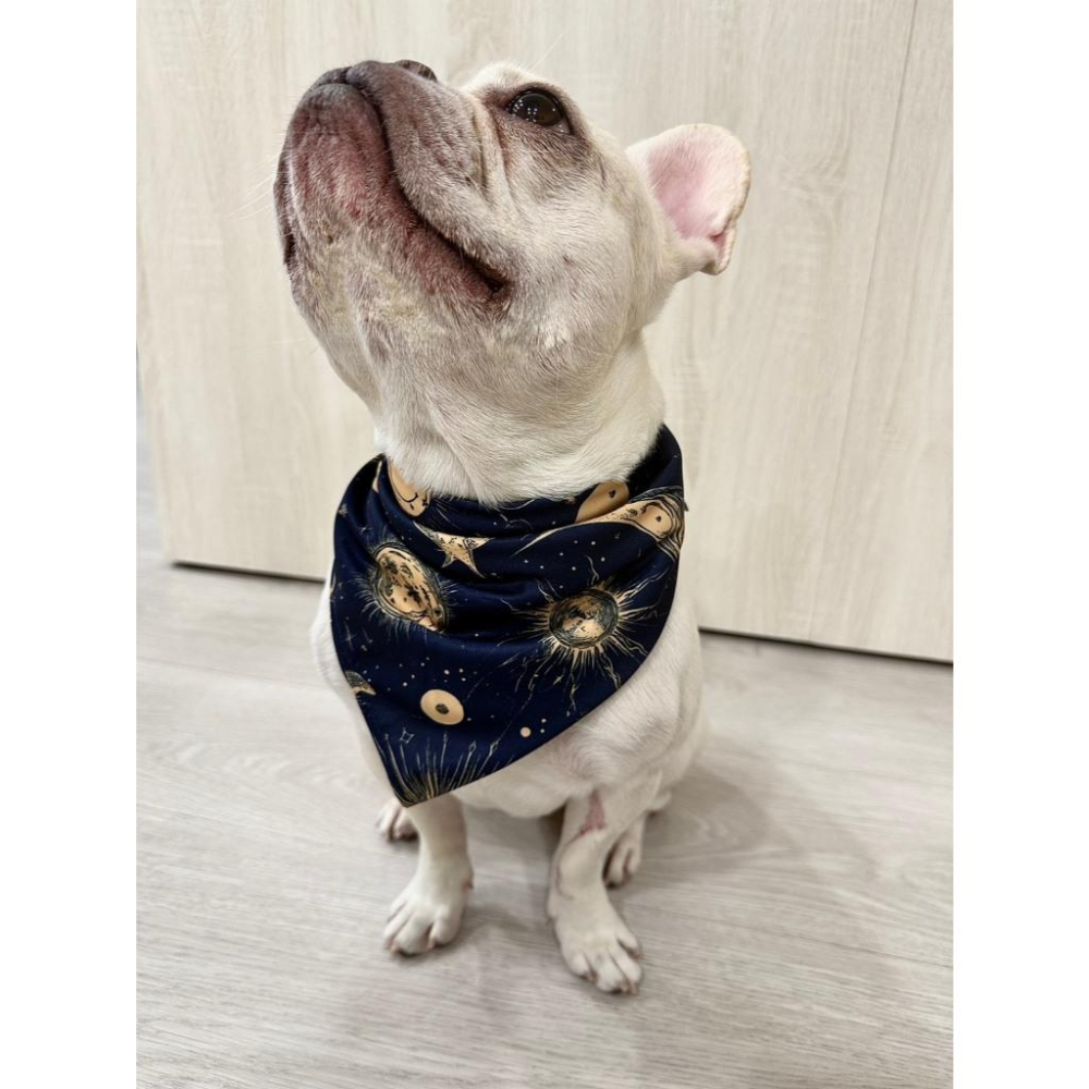 現貨 科派K系列寵物口水巾深藍神秘塔羅圖騰質感系列 超強吸水 舒適柔軟 時尚印花圖案大型犬中型犬適用-細節圖4