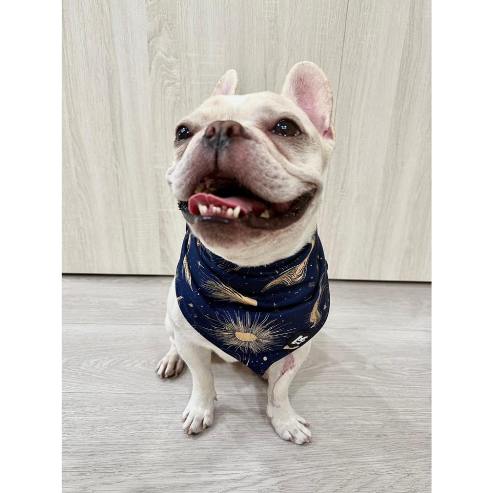 現貨 科派K系列寵物口水巾深藍神秘塔羅圖騰質感系列 超強吸水 舒適柔軟 時尚印花圖案大型犬中型犬適用-細節圖5