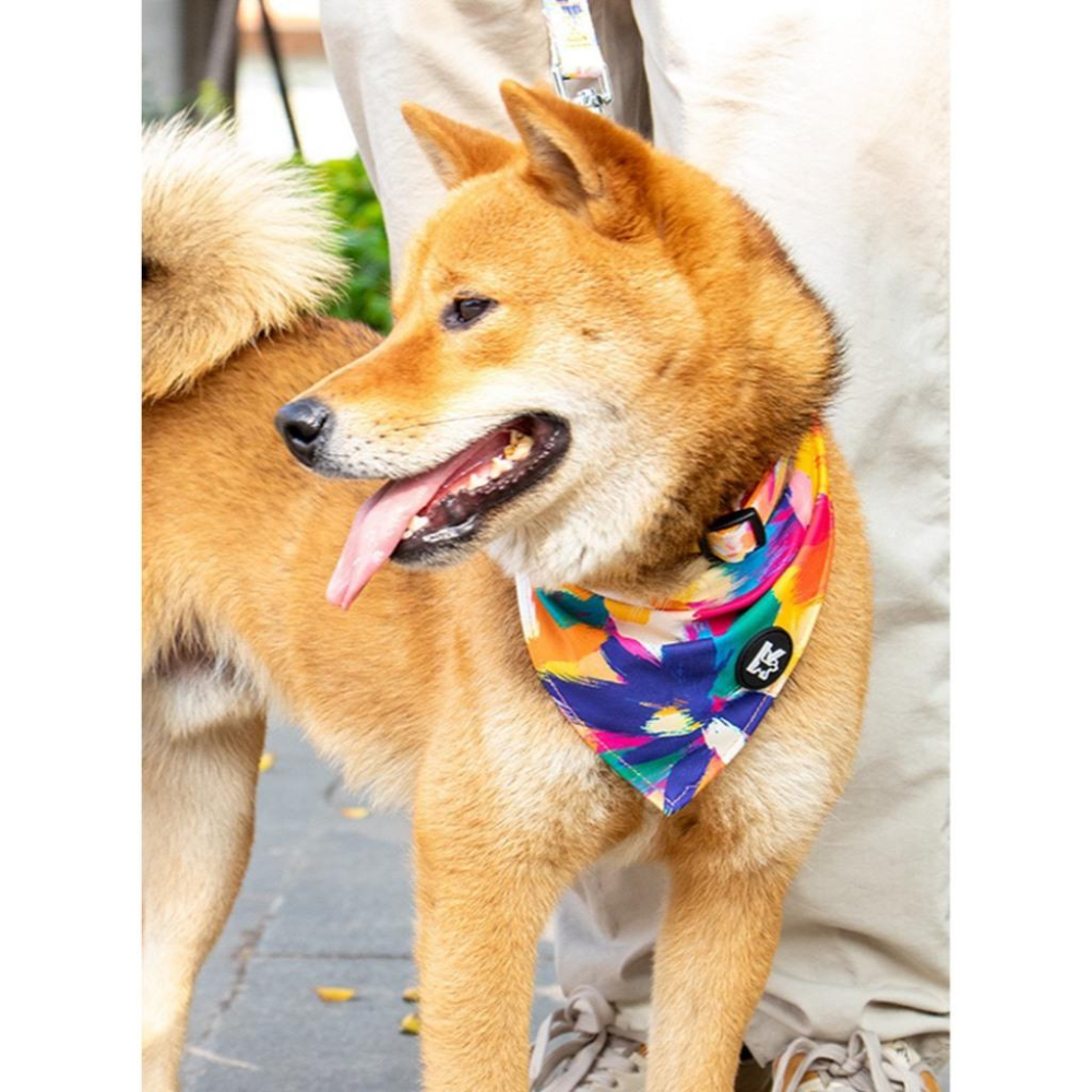 現貨 科派K系列寵物口水巾繽紛油畫花卉質感系列 超強吸水 舒適柔軟 時尚印花圖案大型犬中型犬適用-細節圖3