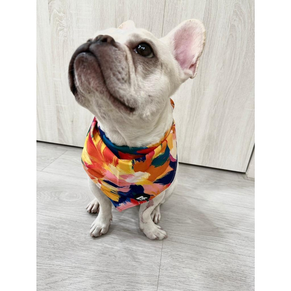 現貨 科派K系列寵物口水巾繽紛油畫花卉質感系列 超強吸水 舒適柔軟 時尚印花圖案大型犬中型犬適用-細節圖4