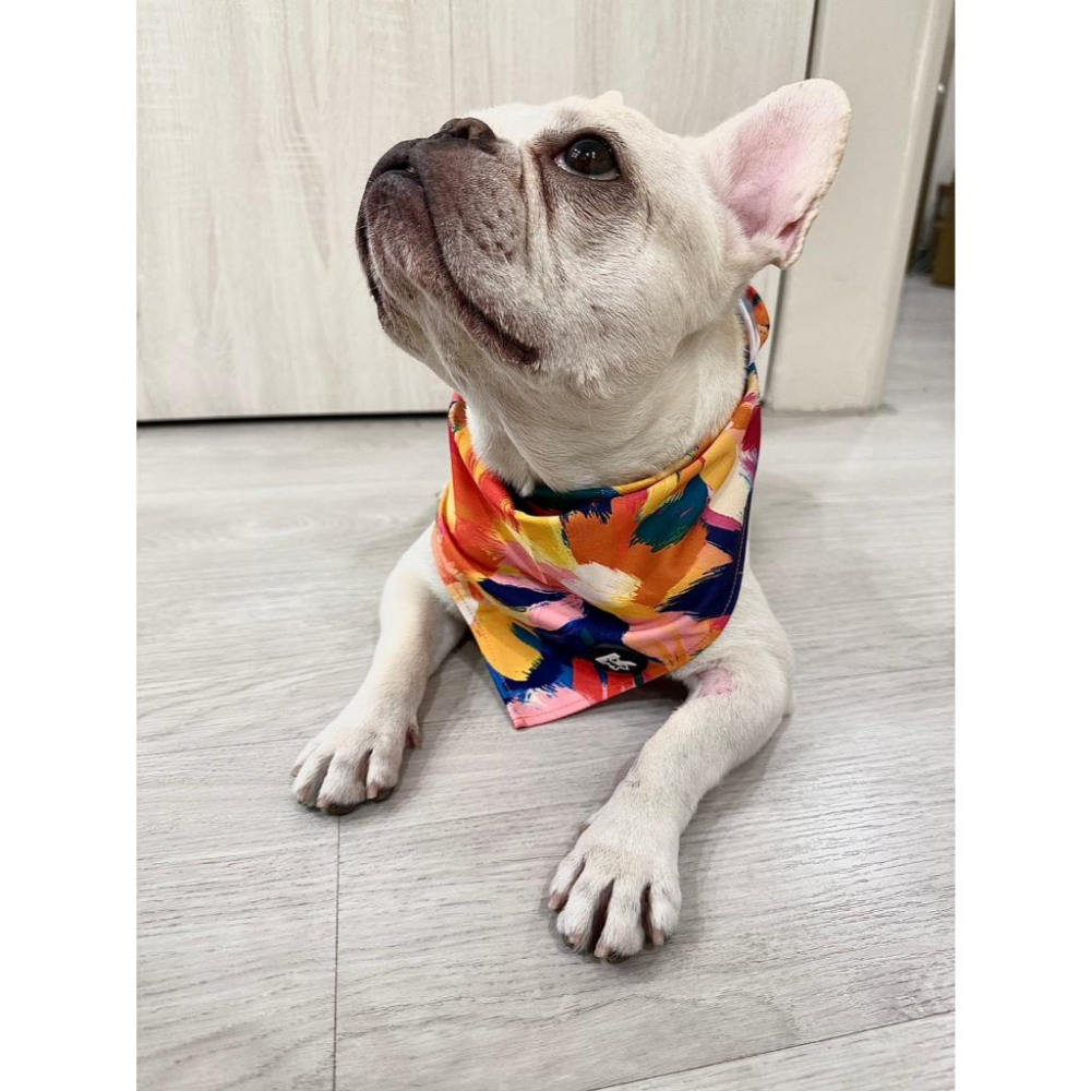 現貨 科派K系列寵物口水巾繽紛油畫花卉質感系列 超強吸水 舒適柔軟 時尚印花圖案大型犬中型犬適用-細節圖5