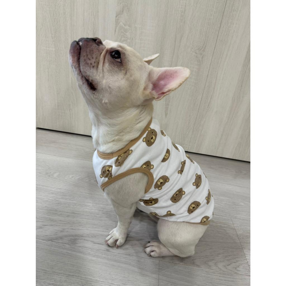 現貨 寵物衣服猫狗衣服棉薄背心夏季透氣涼爽防曬防掉毛防摩擦貓狗皆可穿-細節圖2