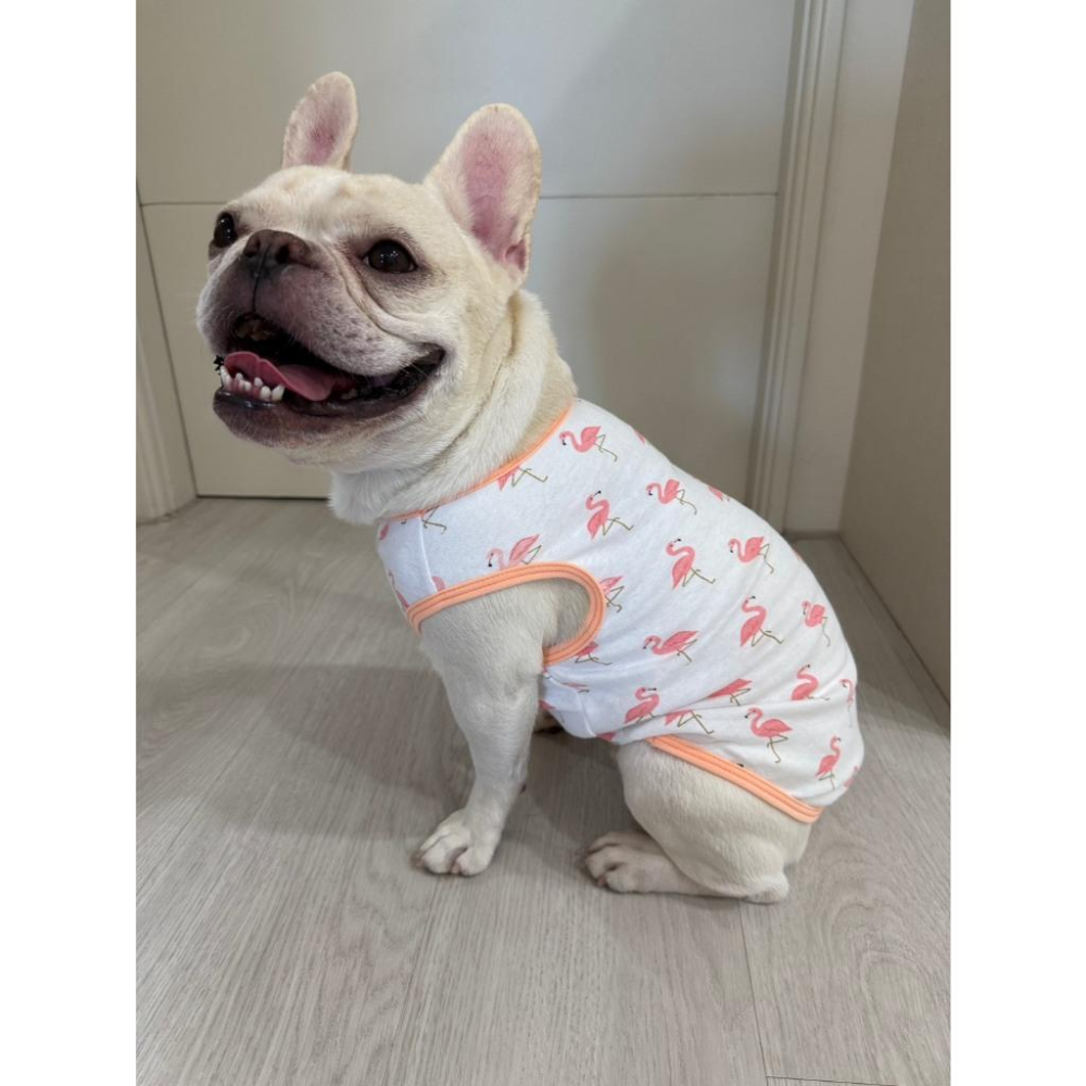 現貨 寵物衣服猫狗衣服棉薄背心夏季透氣涼爽防曬防掉毛防摩擦貓狗皆可穿-細節圖3