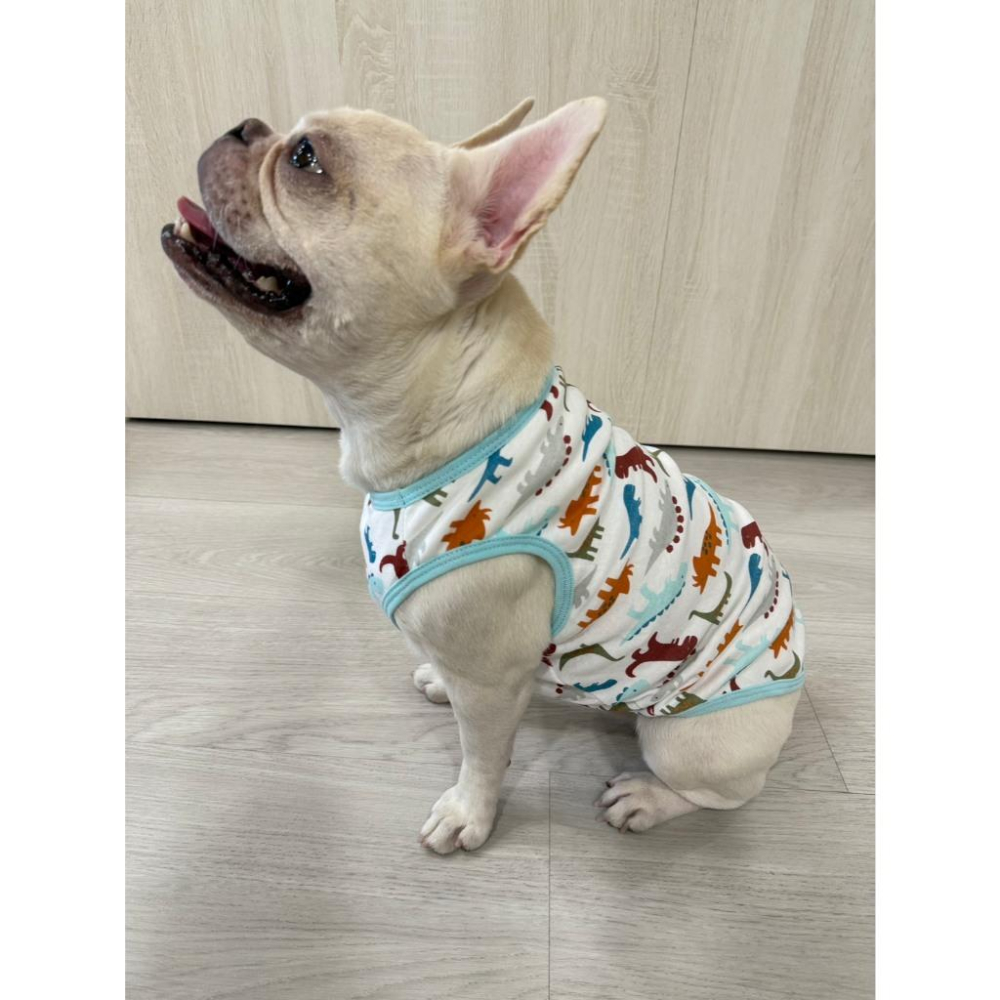 現貨 寵物衣服猫狗衣服棉薄背心夏季透氣涼爽防曬防掉毛防摩擦貓狗皆可穿-細節圖4