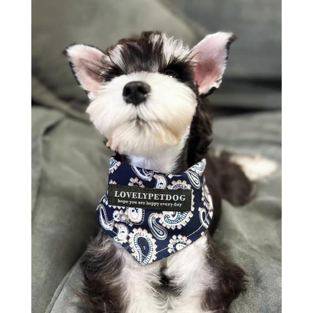 現貨 寵物口水巾黑色圖騰雙扣可調節猫咪狗狗三角巾帥氣圍巾飾品中型犬大型犬口水巾-細節圖2