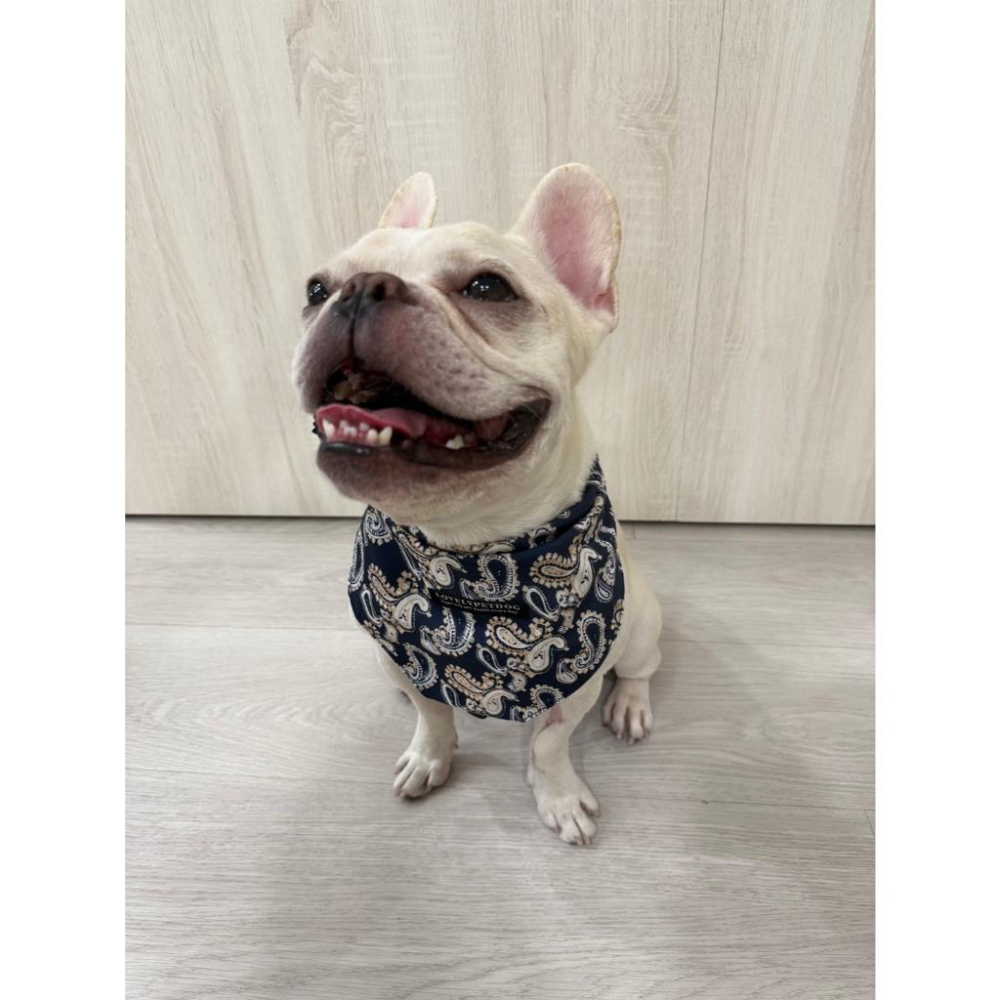 現貨 寵物口水巾黑色圖騰雙扣可調節猫咪狗狗三角巾帥氣圍巾飾品中型犬大型犬口水巾-細節圖3