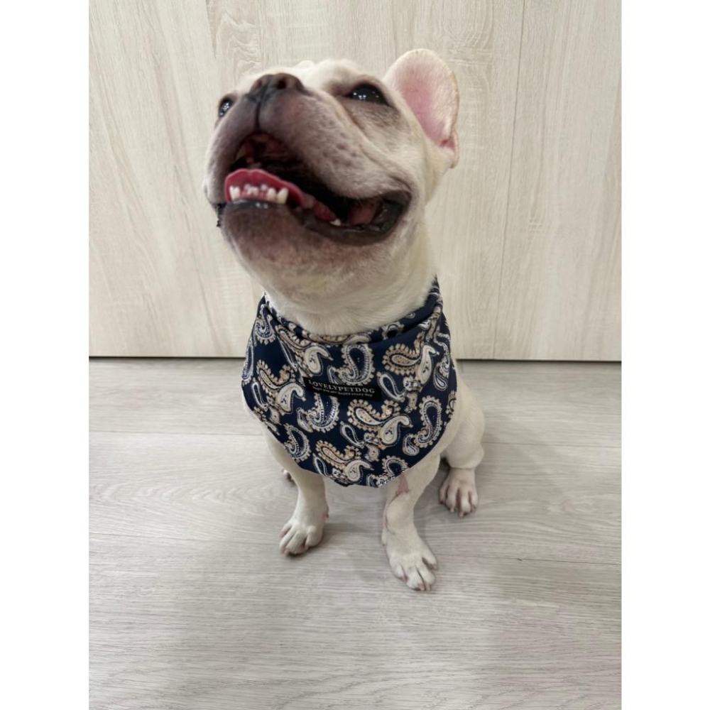 現貨 寵物口水巾黑色圖騰雙扣可調節猫咪狗狗三角巾帥氣圍巾飾品中型犬大型犬口水巾-細節圖4