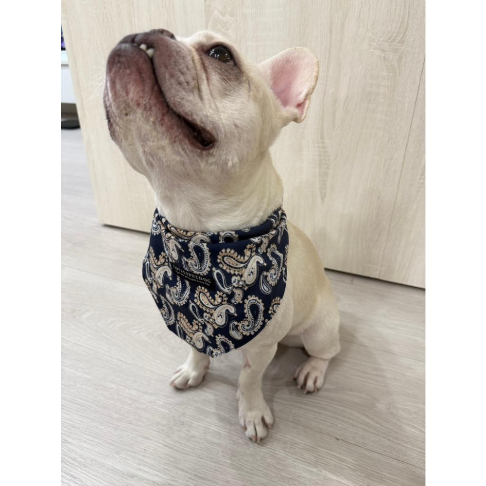 現貨 寵物口水巾黑色圖騰雙扣可調節猫咪狗狗三角巾帥氣圍巾飾品中型犬大型犬口水巾-細節圖5