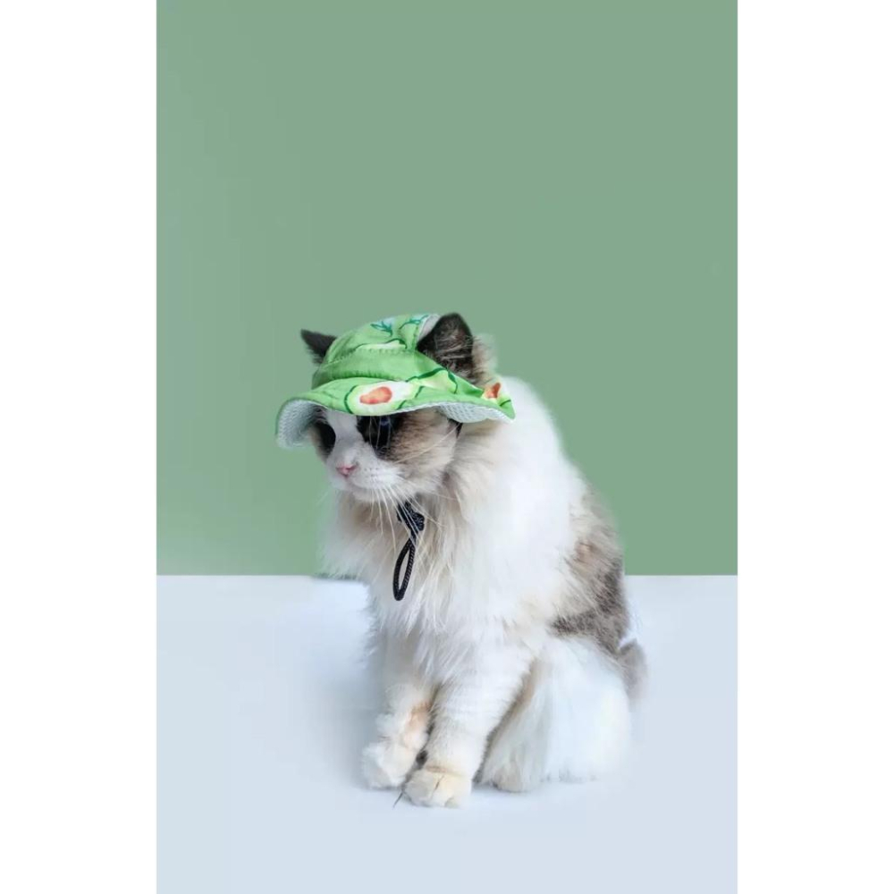 現貨 夏季猫狗帽子寵物頭套外出防曬帽子狗狗貓貓漁夫帽透氣防曬遮陽帽可調節鬆緊度不卡耳朵-細節圖3