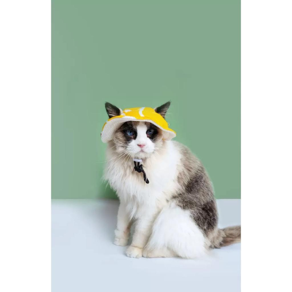 現貨 夏季猫狗帽子寵物頭套外出防曬帽子狗狗貓貓漁夫帽透氣防曬遮陽帽可調節鬆緊度不卡耳朵-細節圖4
