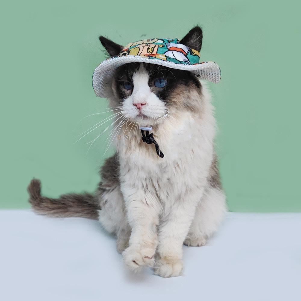 現貨 夏季猫狗帽子寵物頭套外出防曬帽子狗狗貓貓漁夫帽透氣防曬遮陽帽可調節鬆緊度不卡耳朵-細節圖4