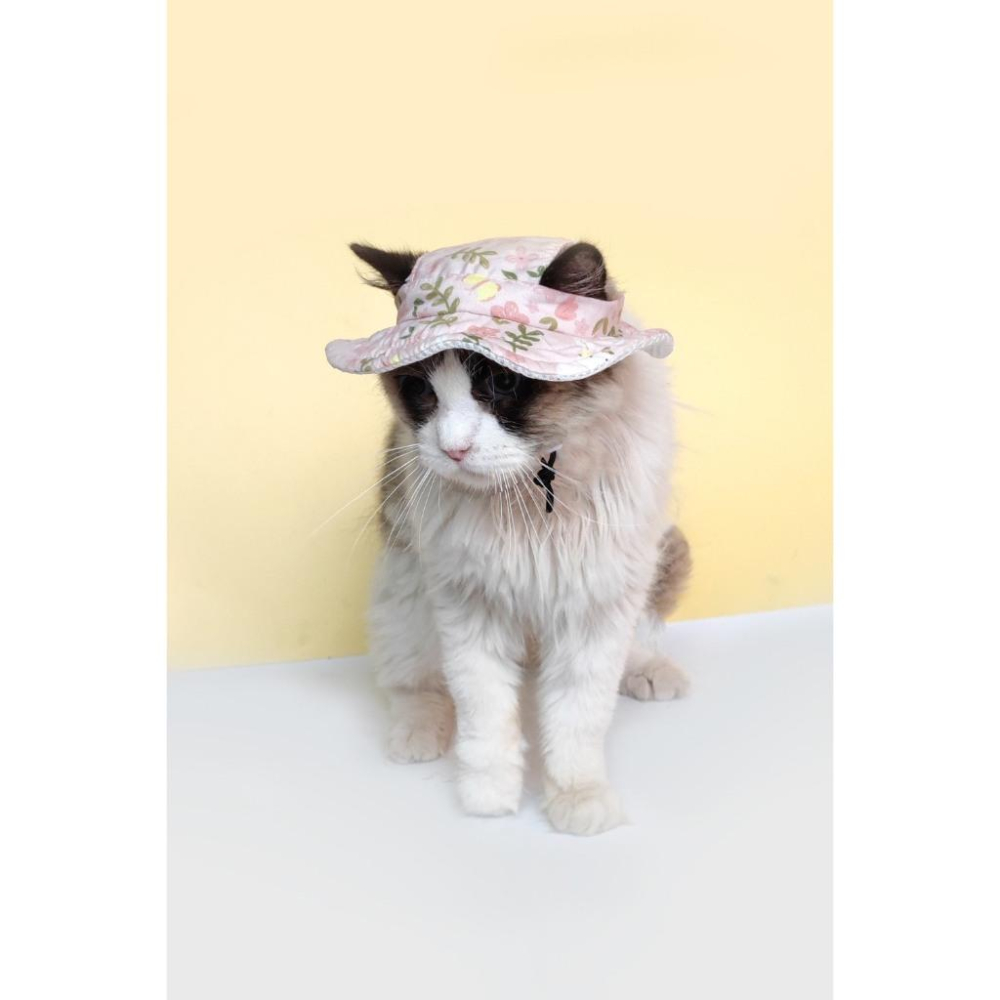 現貨 夏季猫狗帽子寵物頭套外出防曬帽子狗狗貓貓漁夫帽透氣防曬遮陽帽可調節鬆緊度不卡耳朵-細節圖5