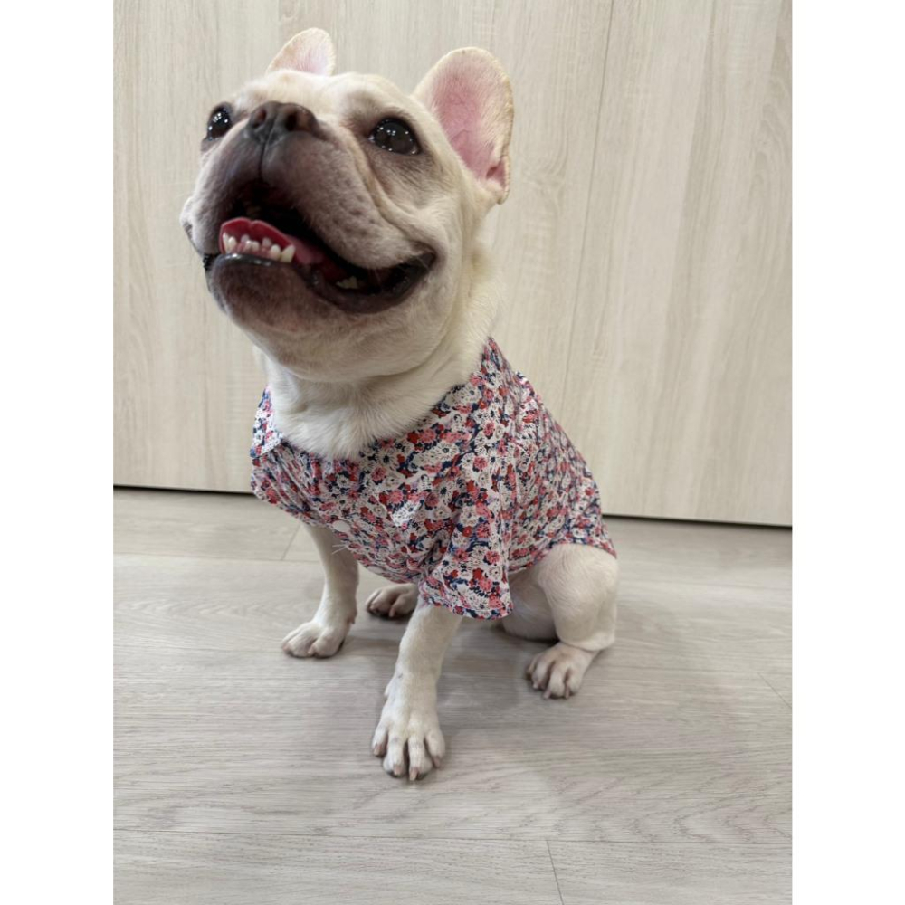 現貨 寵物服飾夏季襯衣貓咪狗狗春夏薄款海邊沙灘花花襯衣休閒百搭帥氣貓狗皆可穿 襯衫 #現貨-細節圖2