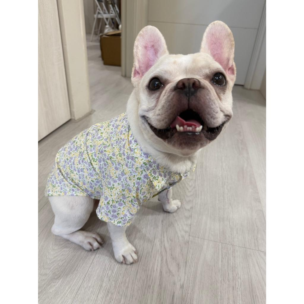 現貨 寵物服飾夏季襯衣貓咪狗狗春夏薄款海邊沙灘花花襯衣休閒百搭帥氣貓狗皆可穿 襯衫 #現貨-細節圖3