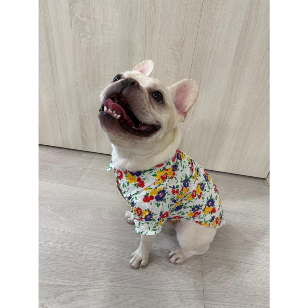 現貨 寵物服飾夏季襯衣貓咪狗狗春夏薄款海邊沙灘花花襯衣休閒百搭帥氣貓狗皆可穿 襯衫 #現貨-細節圖4