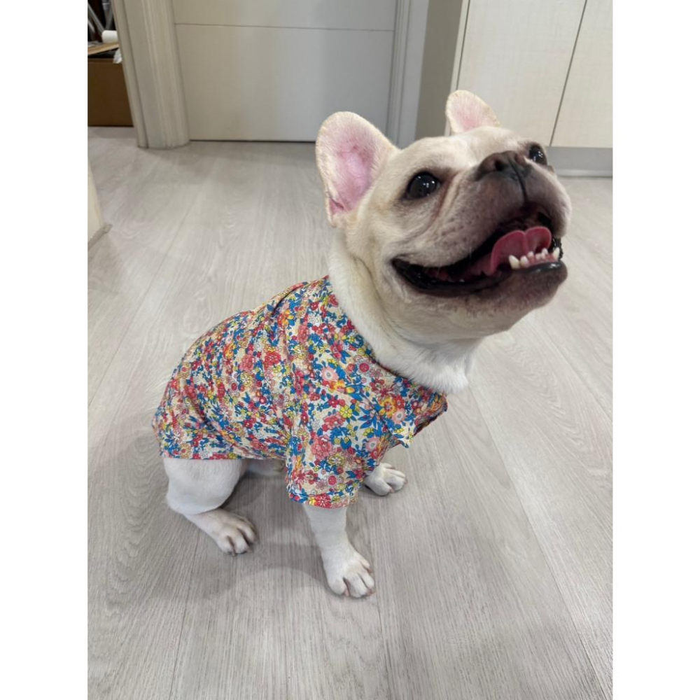 現貨 寵物服飾夏季襯衣貓咪狗狗春夏薄款海邊沙灘花花襯衣休閒百搭帥氣貓狗皆可穿 襯衫 #現貨-細節圖6