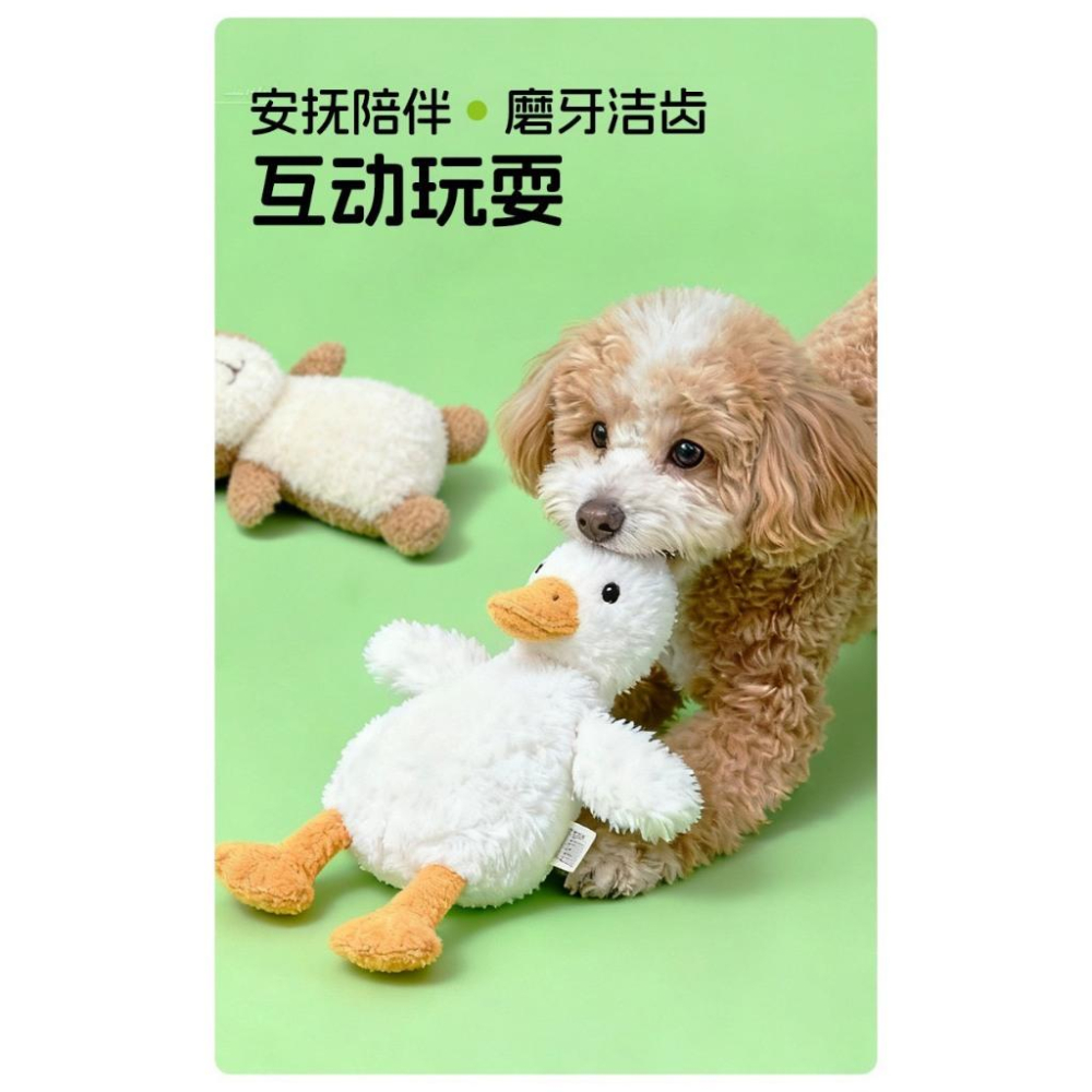 新貨 寵物玩具2025新款陸地系列豚鼠烏龜海鳥AFP狗狗發聲玩具毛絨玩具耐咬中大型犬自嗨解悶玩具-細節圖4