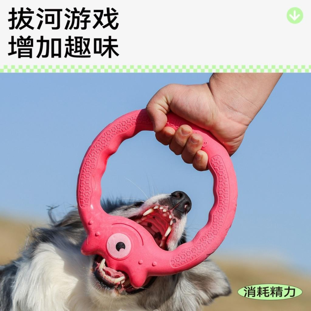 現貨 Qmonster狗狗飛盤玩具 互動耐咬寵物訓練玩具 訓練狗狗專用中大型犬玩具-細節圖3