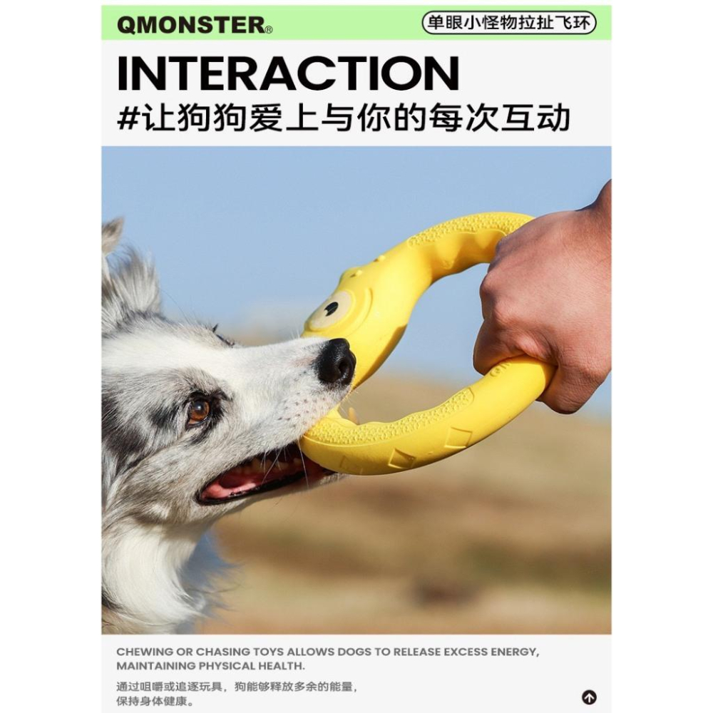 現貨 Qmonster狗狗飛盤玩具 互動耐咬寵物訓練玩具 訓練狗狗專用中大型犬玩具-細節圖5