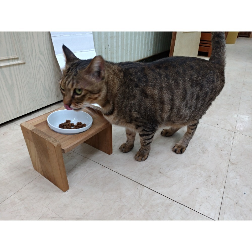 (枂木坊)緬甸柚木寵物碗架餐桌-高雄自家工廠手工製作-歐斯蒙護木油-可聊聊訂製高度及碗口數-(含陶瓷碗)-貓&小型犬適用-細節圖7