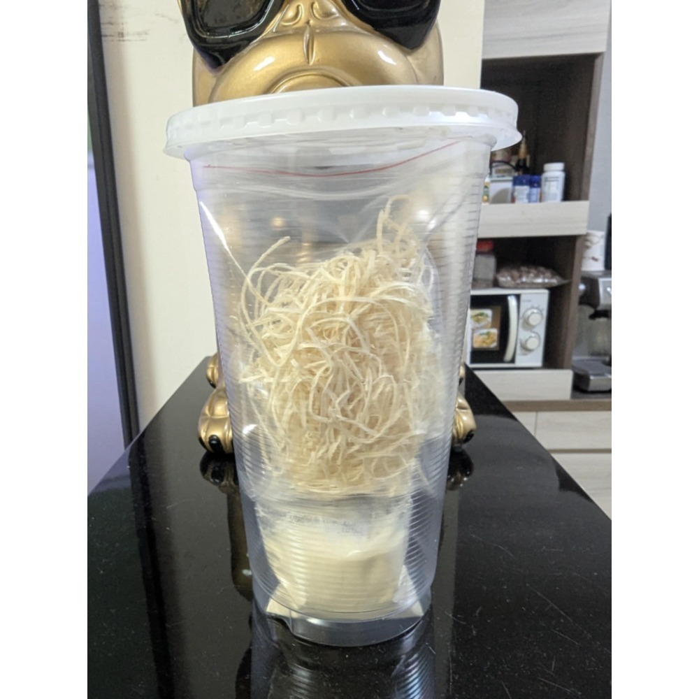 果蠅 殘翅  無翅  大果-規格圖1