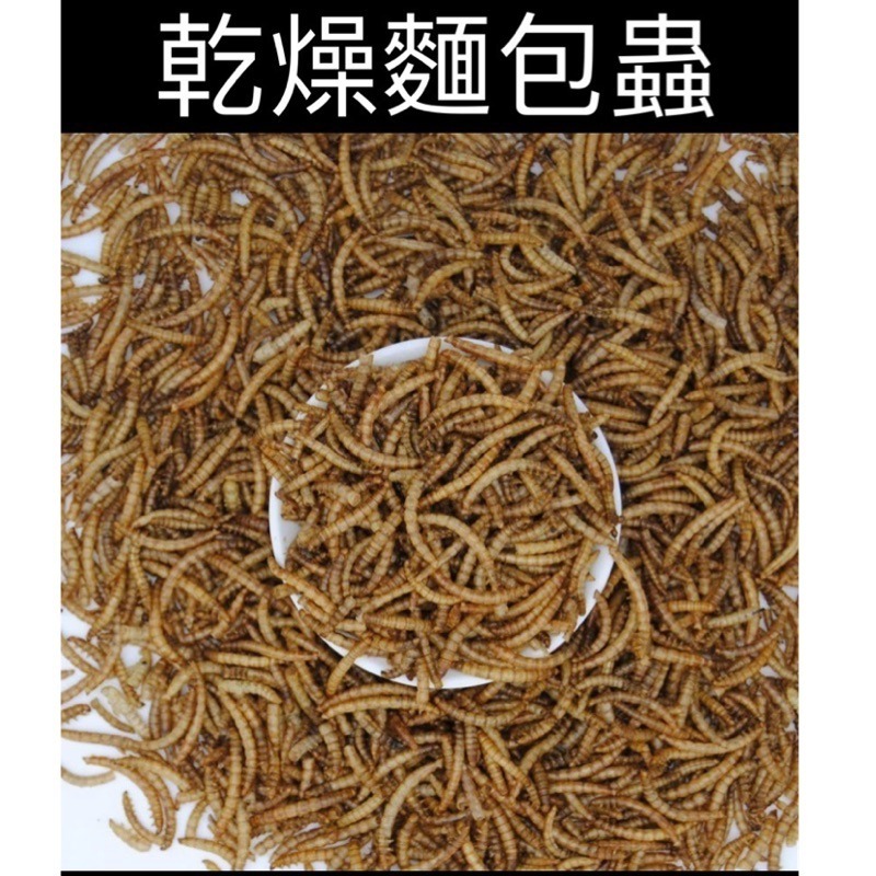 麵包蟲-規格圖1