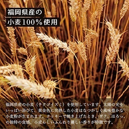 現貨-日本九州昭榮堂 純奶油曲奇餅乾 奶油餅乾 日本零食-細節圖5