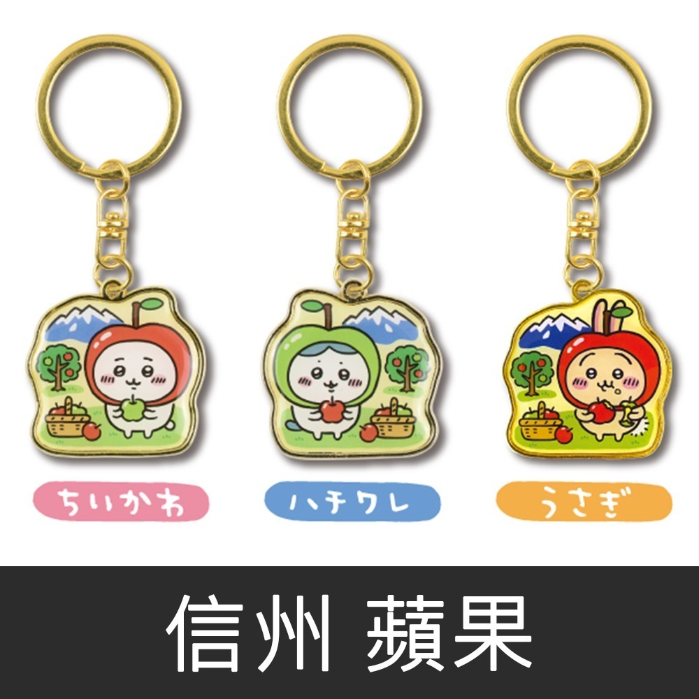 現貨-日本 吉伊卡哇地方限定吊飾 鑰匙圈 關東地區 中部地區 Chiikawa 小可愛 小八貓 兔兔-規格圖9