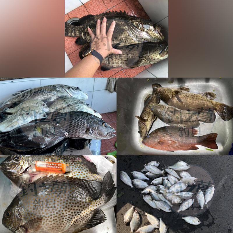 釣之夢~幻潮 50m 子線 日本製造 碳纖子線 釣具 釣魚 磯釣 釣線 碳纖維 碳纖 魚線 釣線 海釣 路亞 前導線-細節圖5