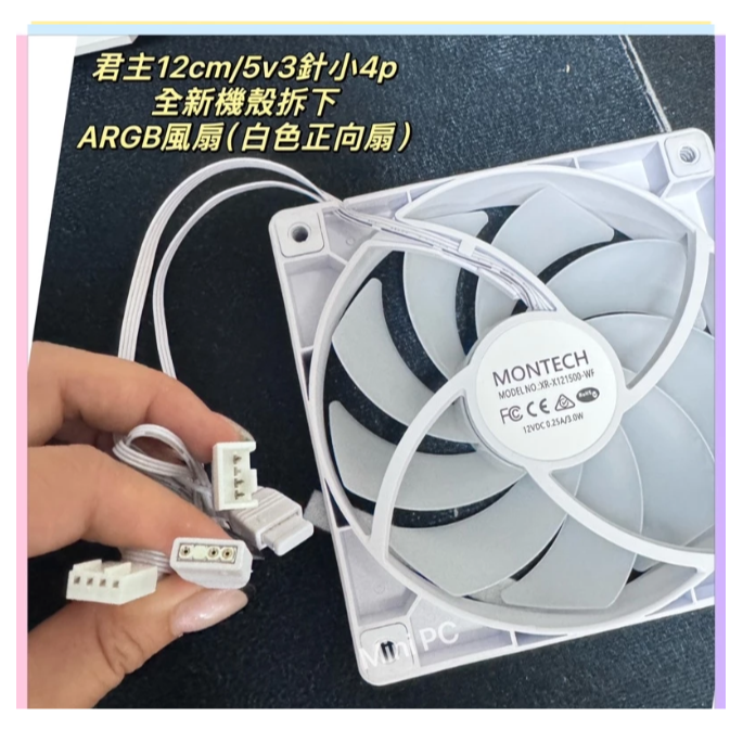 白色正向扇