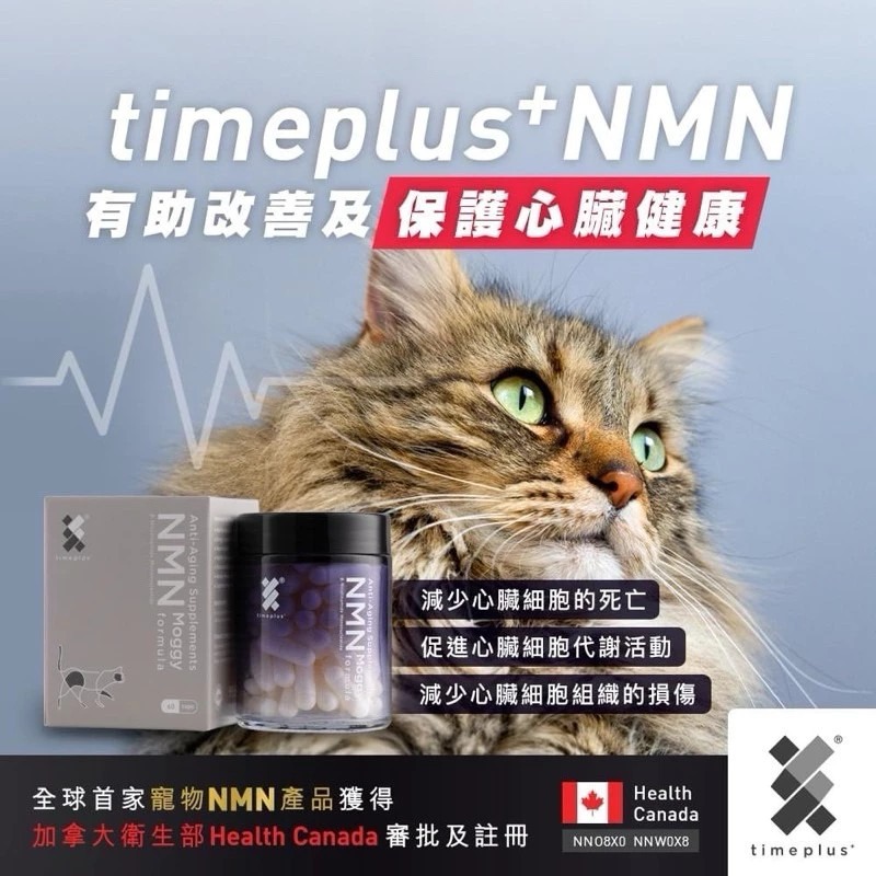 🔥現貨在台出貨✅Timeplus+貓寵物NMN/命活配方/腎貓糖貓老貓🐱/貓咪用/NMN Timeplus/寵物保健-細節圖3