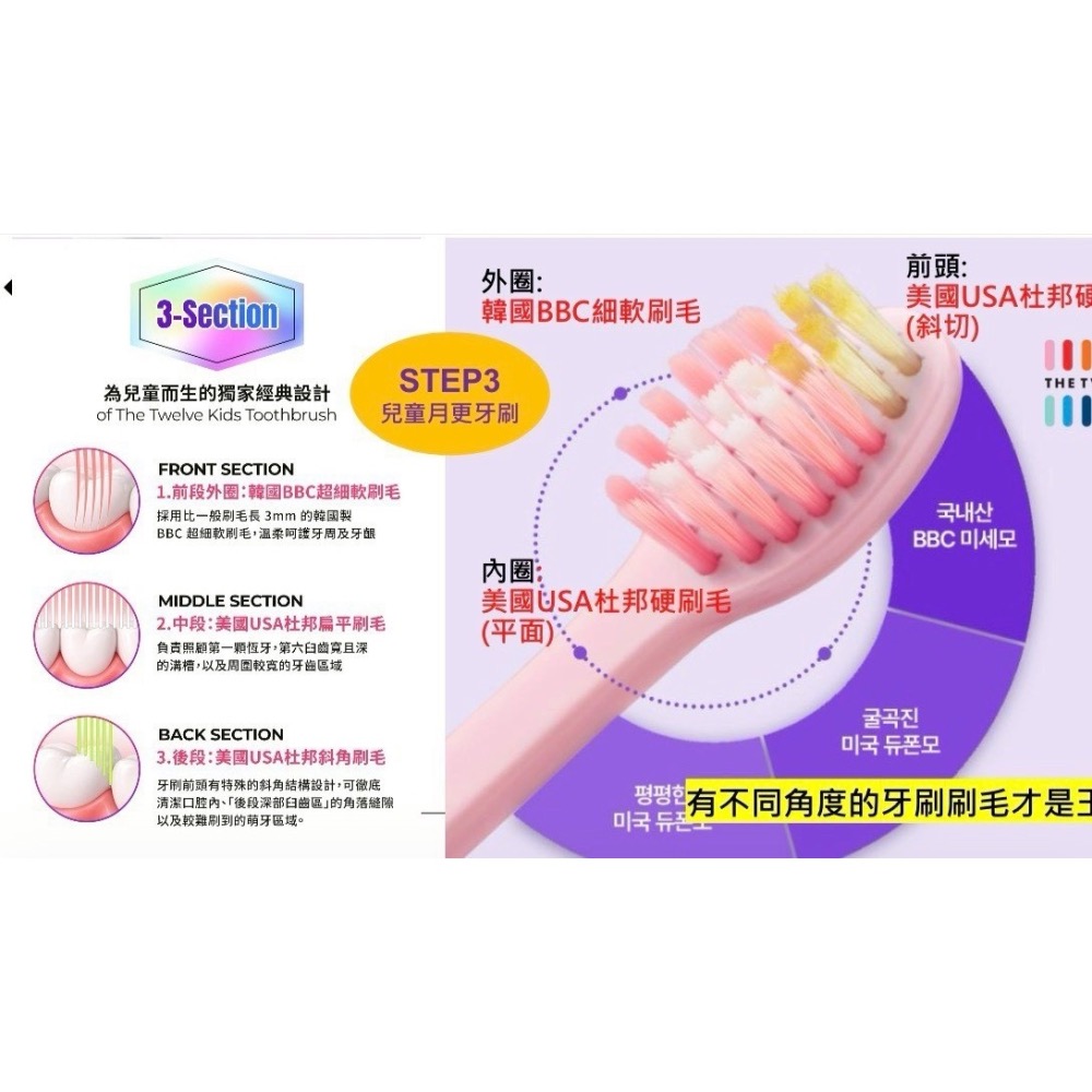 韓國The twelve 兒童牙刷  每盒12入（每月一隻）-細節圖5