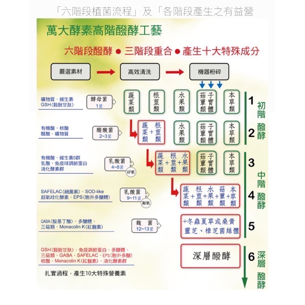 🍀原味生活🍀多件特惠【萬大酵素】晶彩酵素 👀超值組👀素食 葉黃素 藍藻 苟杞-細節圖5