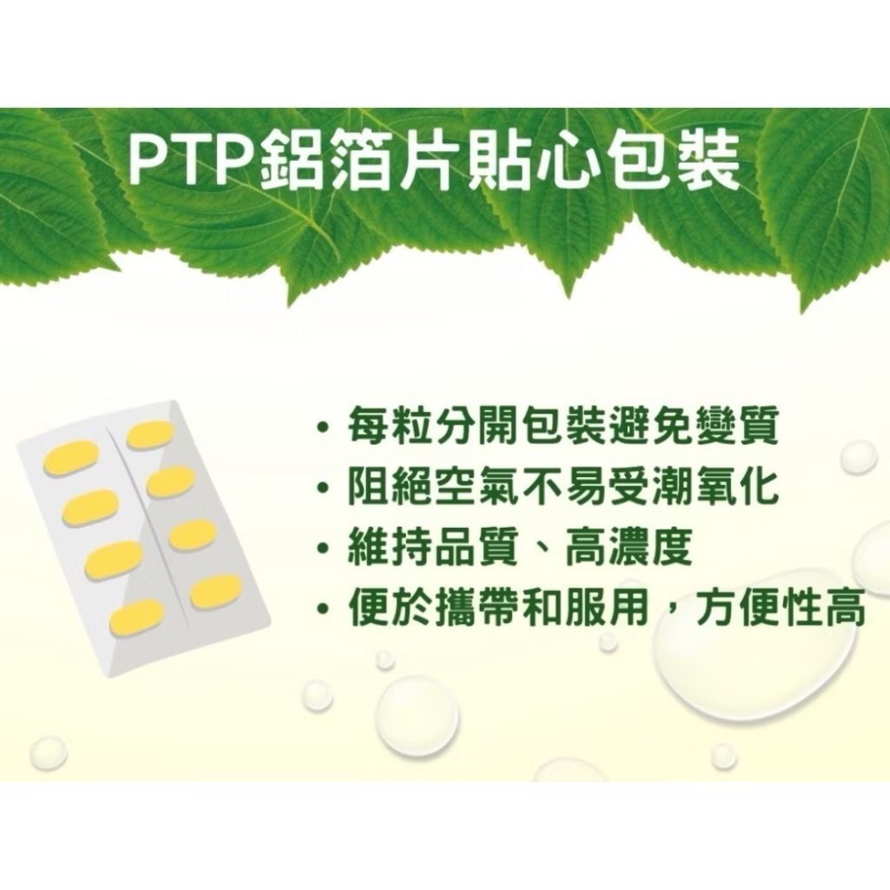 🍀原味生活🍀多件特惠【Dayou紫蘇籽油精華】PERILLA OIL 冷壓紫蘇油膠囊-細節圖5