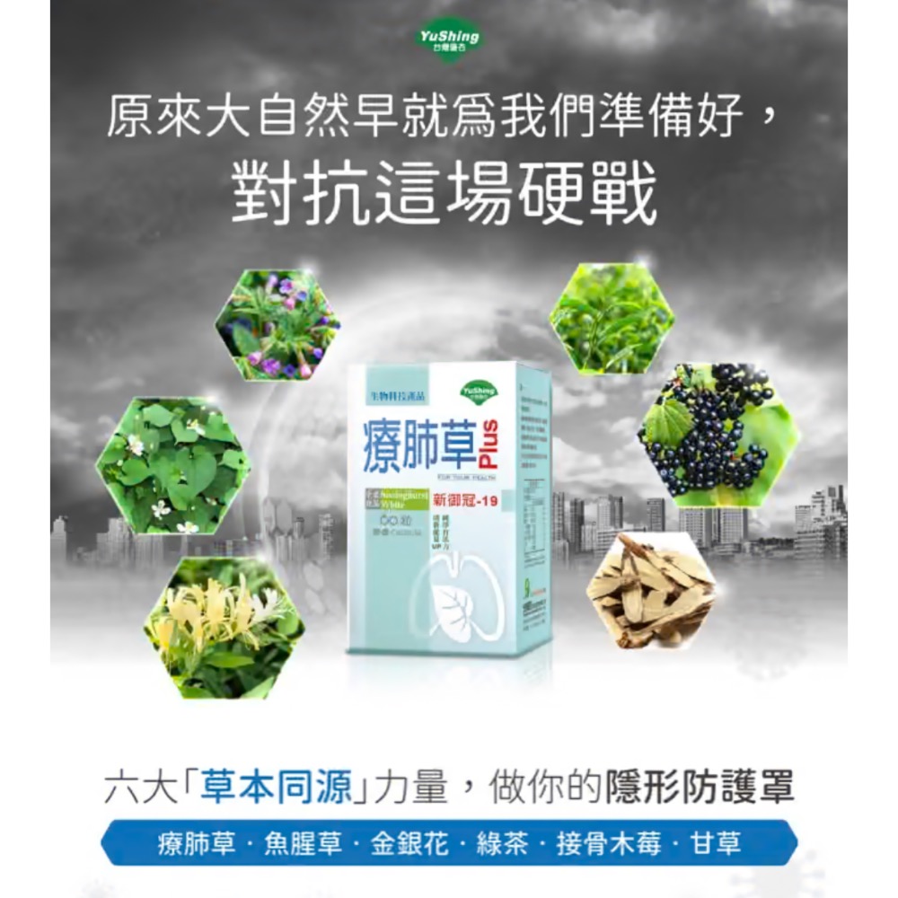 🍀原味生活🍀2入特惠【台灣優杏】🌿素食膠囊🌿療肺草 60粒/盒 多盒優惠-細節圖2