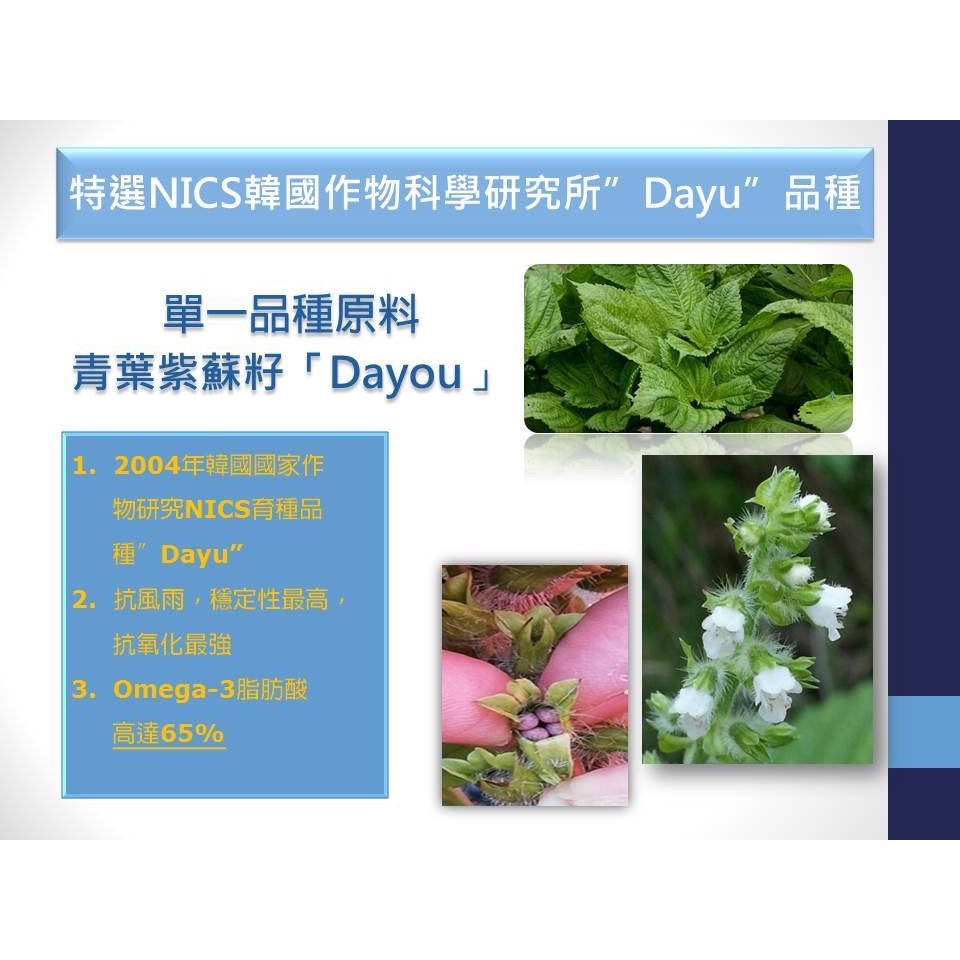 🍀原味生活🍀【林博】韓國 母心紫蘇油 300ml 60%Omega3 素食者的首選魚油 使用自然農法栽種-細節圖6