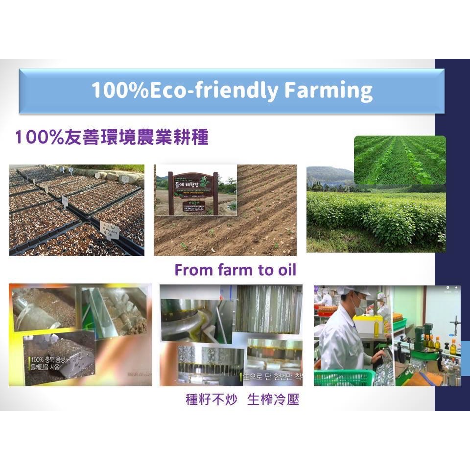 🍀原味生活🍀【林博】韓國 母心紫蘇油 300ml 60%Omega3 素食者的首選魚油 使用自然農法栽種-細節圖7