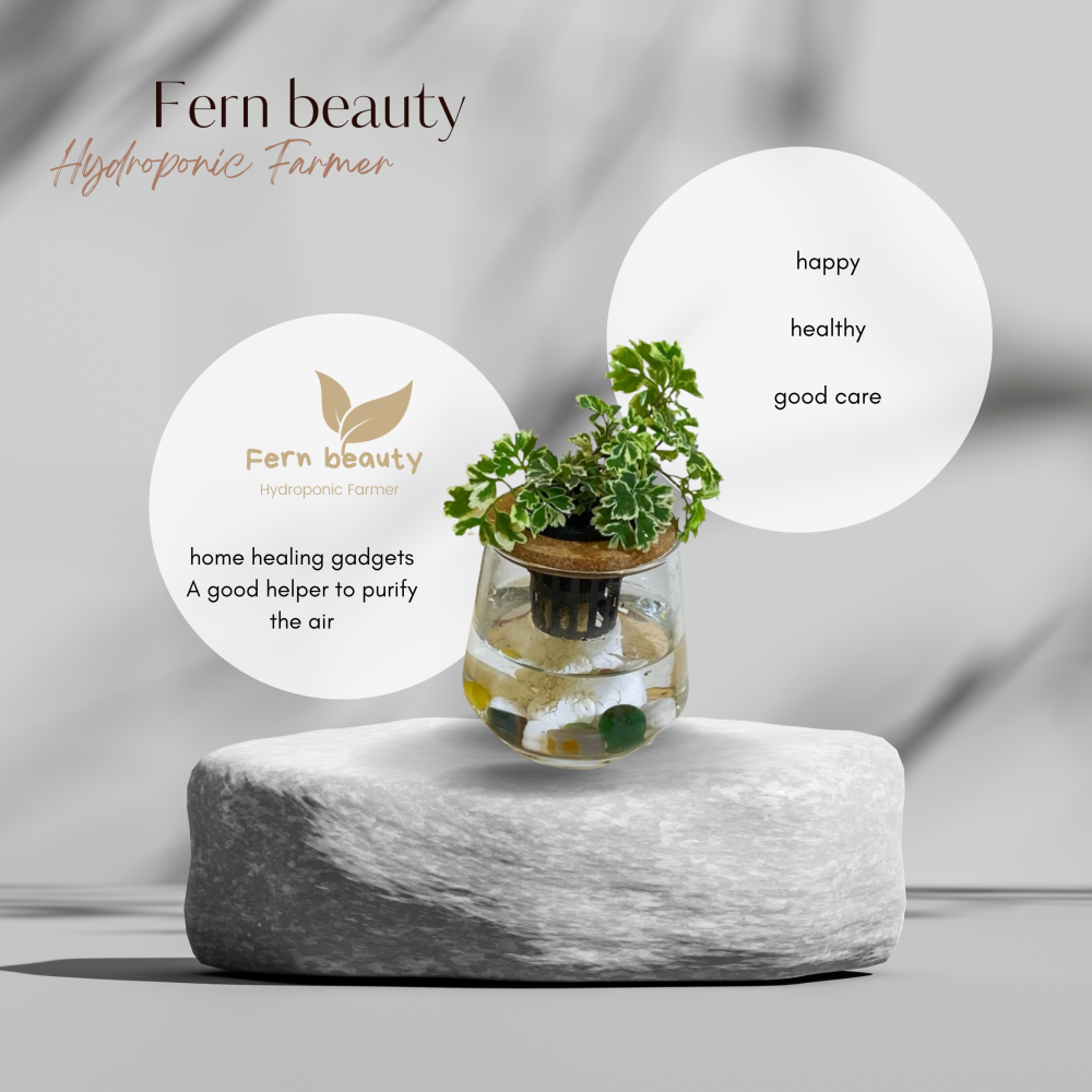 [ꜰᴇʀɴ ʙᴇᴀᴜᴛʏ] 白雪福祿桐 x 弧形透明玻璃瓶｜清新純淨・簡約質感-細節圖2