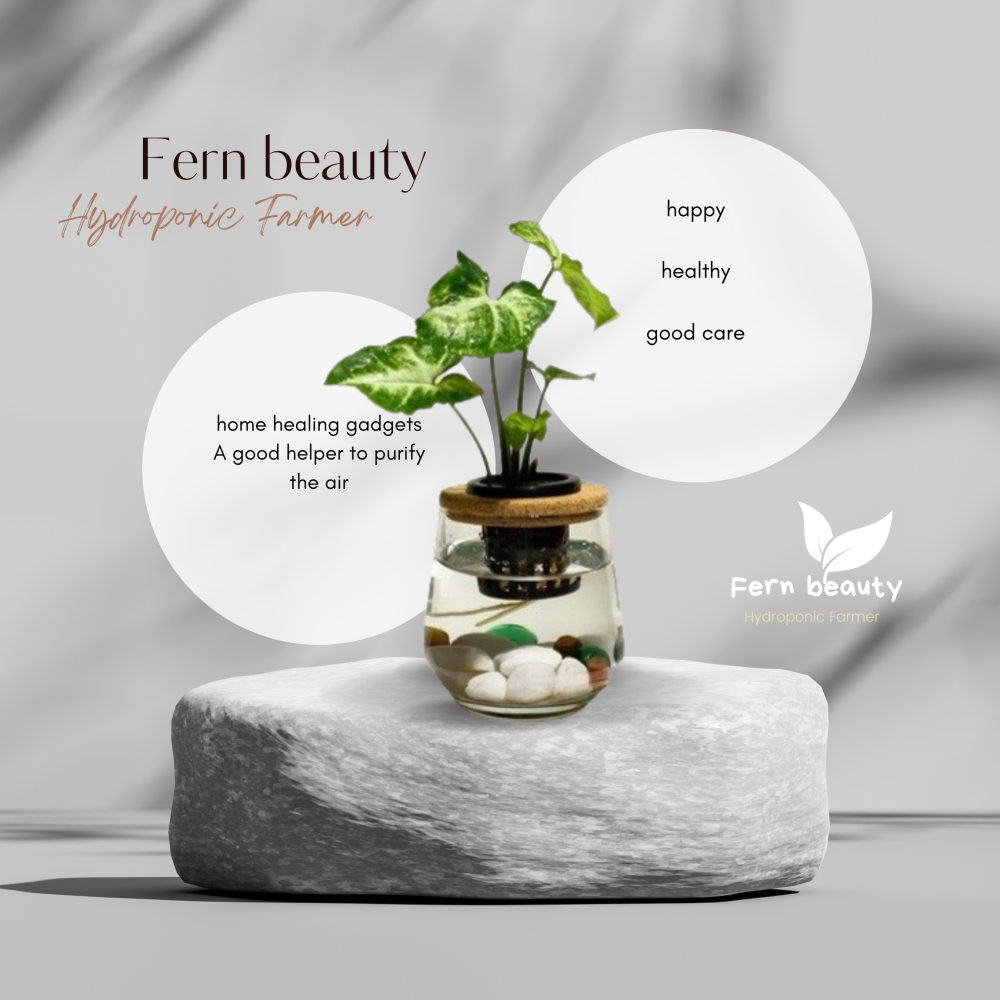 [ꜰᴇʀɴ ʙᴇᴀᴜᴛʏ] 室內網美水耕植栽｜合果芋 x 弧形透明玻璃瓶｜輕巧療癒・綠意點綴-細節圖2