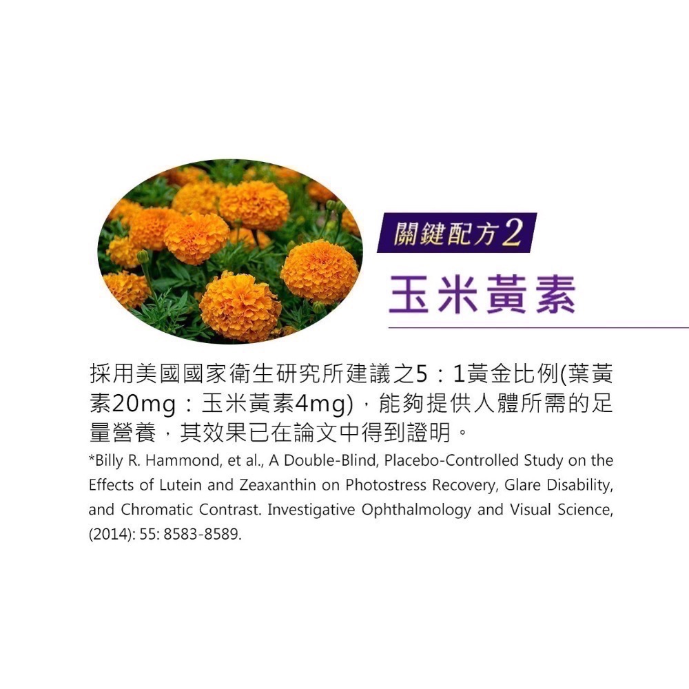 ❗️我最便宜❗️ 限時特價到3/15❗️好市多代購❤️最新效期🎉樂敦 V金盞花萃取物葉黃素複方軟膠囊-細節圖9