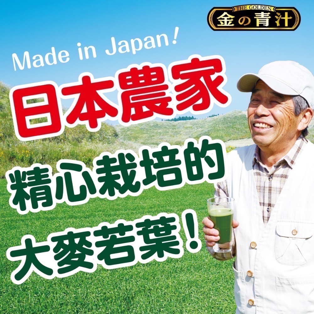 ❗️我最便宜❗️限時特價到2/15❤️好市多代購❤️最新效期🎉The Golden 大麥若葉粉末 3公克 X 176包-細節圖2