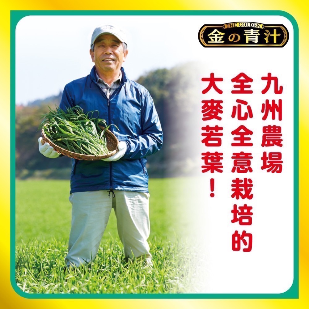 ❗️我最便宜❗️限時特價到2/15❤️好市多代購❤️最新效期🎉The Golden 大麥若葉粉末 3公克 X 176包-細節圖6