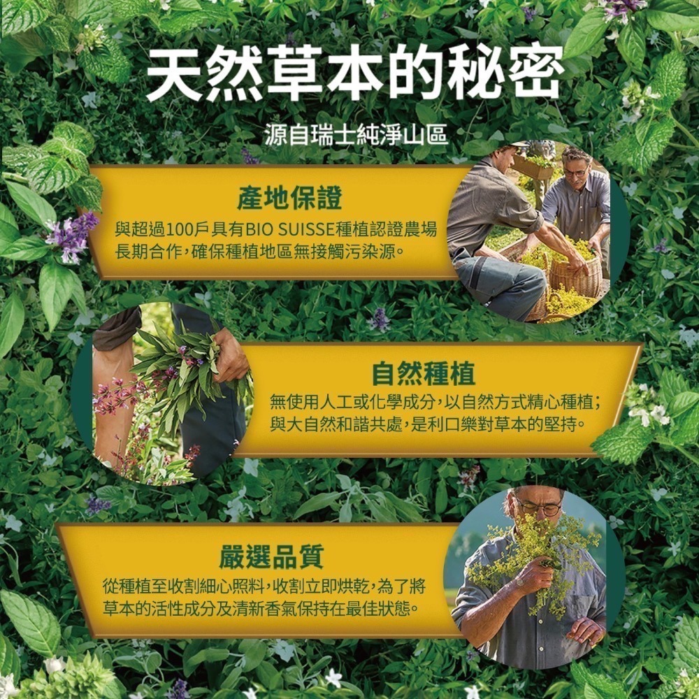 ❗️限時特價❤️好市多代購❤️最新效期🎉可買單包🎉 利口樂瑞士草本喉糖 原味 330公克 X 2入-細節圖3