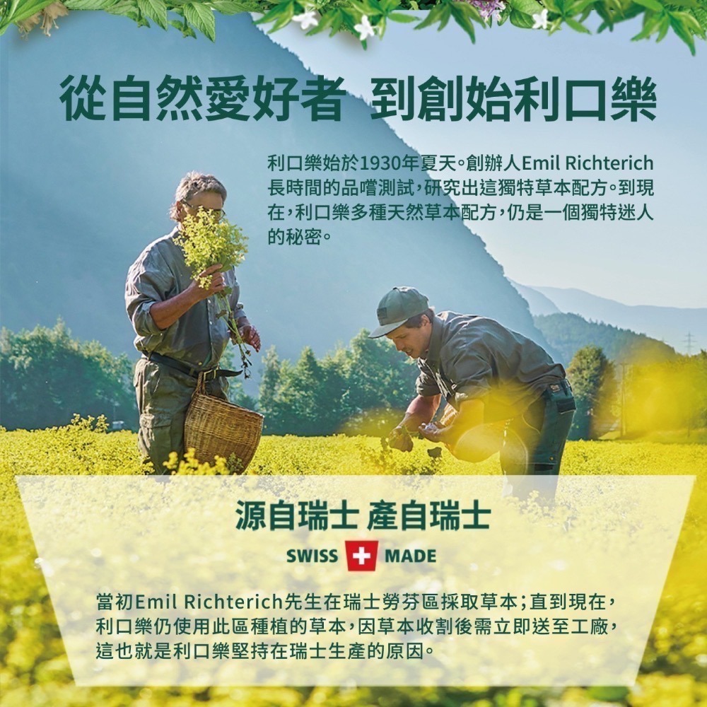 ❗️限時特價❤️好市多代購❤️最新效期🎉可買單包🎉 利口樂瑞士草本喉糖 原味 330公克 X 2入-細節圖6