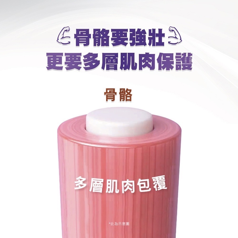 ❗️我最便宜❗️限時特價1/4 ❤️好市多代購❤️最新效期🎉當天出貨🎉 挺立 鈣強力錠 600毫克 310錠-細節圖3