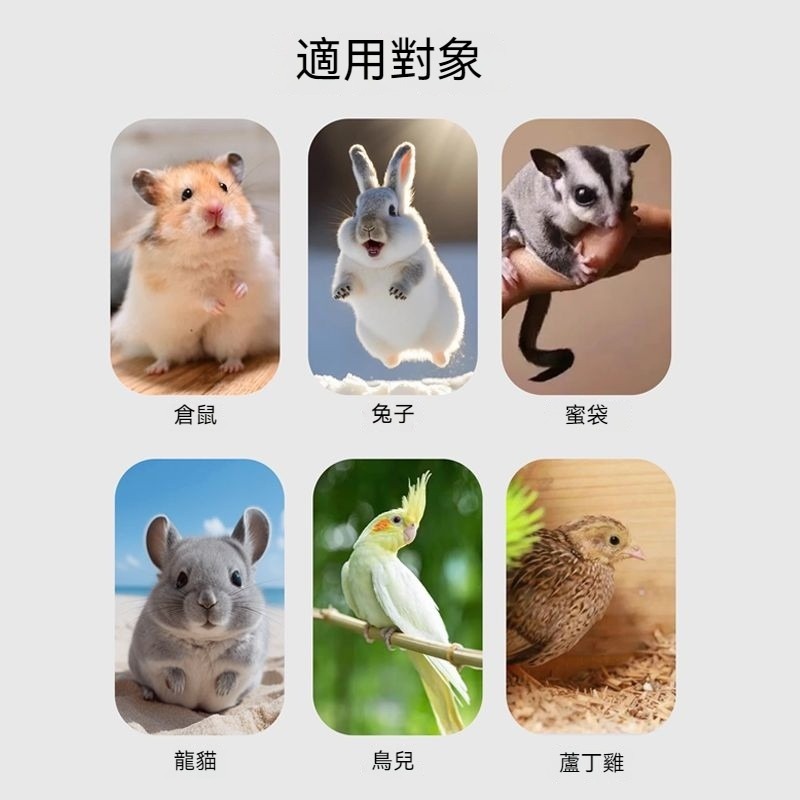 🐾隔日到貨 倉鼠核桃砂 倉鼠墊料 核桃砂 核桃沙 核桃砂墊料 倉鼠核桃沙 除臭核桃沙 核桃沙墊料 倉鼠除臭 倉鼠用品-細節圖5