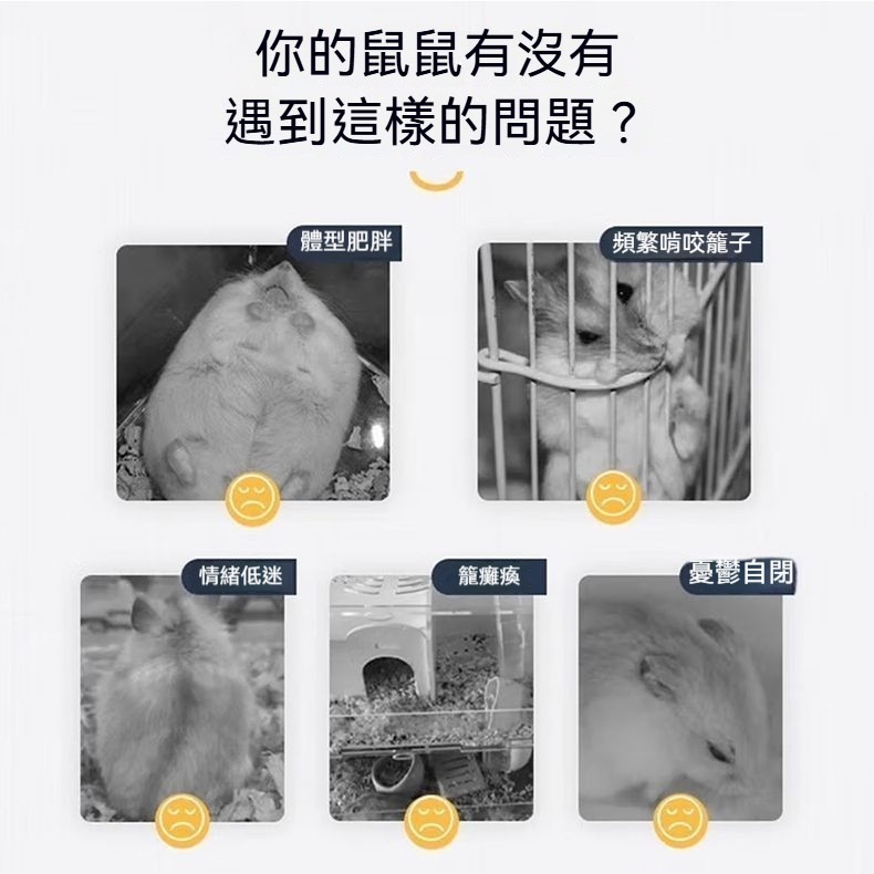 🐾隔日到貨 靜音滾輪 倉鼠滾輪 倉鼠跑輪 黃金鼠滾輪 老鼠滾輪 倉鼠玩具 倉鼠用品 倉鼠運動 倉鼠 跑輪 黃金鼠 靜-細節圖7