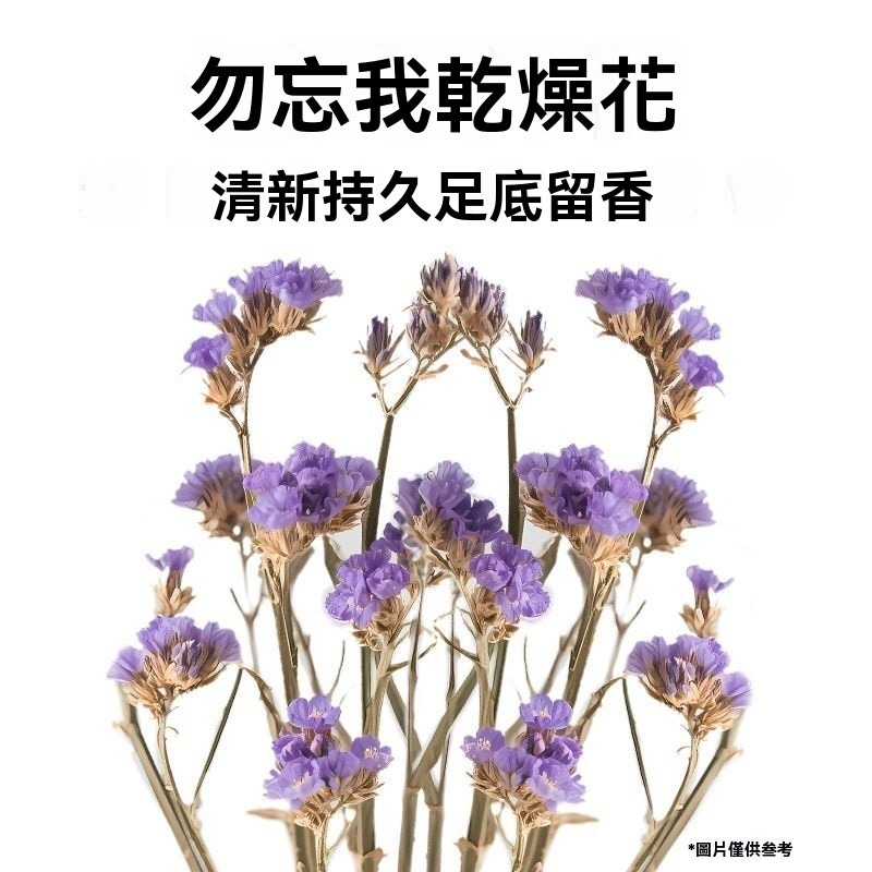 🐾隔日到貨✨ 生物酶蕎麥砂 倉鼠蕎麥砂 蕎麥砂 倉鼠墊料 倉鼠墊材 夏季降溫墊料 倉鼠 吸水 除臭 透氣 無塵 造景-細節圖4