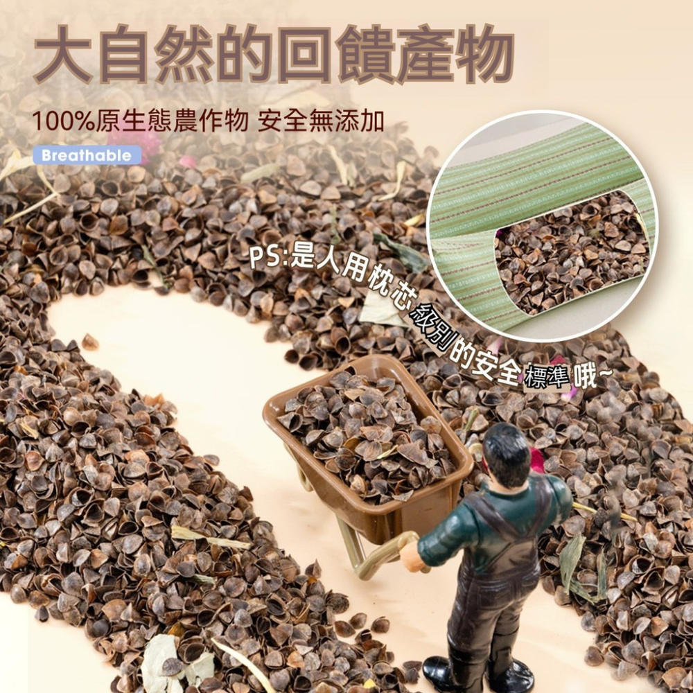 🐾隔日到貨 蕎麥砂 倉鼠蕎麥砂 蕎麥沙 生物酶蕎麥砂 倉鼠墊料 倉鼠墊材 倉鼠降溫 倉鼠 黃金鼠 倉鼠造景 倉鼠用品-細節圖5