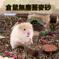 🐾隔日到貨 蕎麥砂 倉鼠蕎麥砂 蕎麥沙 生物酶蕎麥砂 倉鼠墊料 倉鼠墊材 倉鼠降溫 倉鼠 黃金鼠 倉鼠造景 倉鼠用品